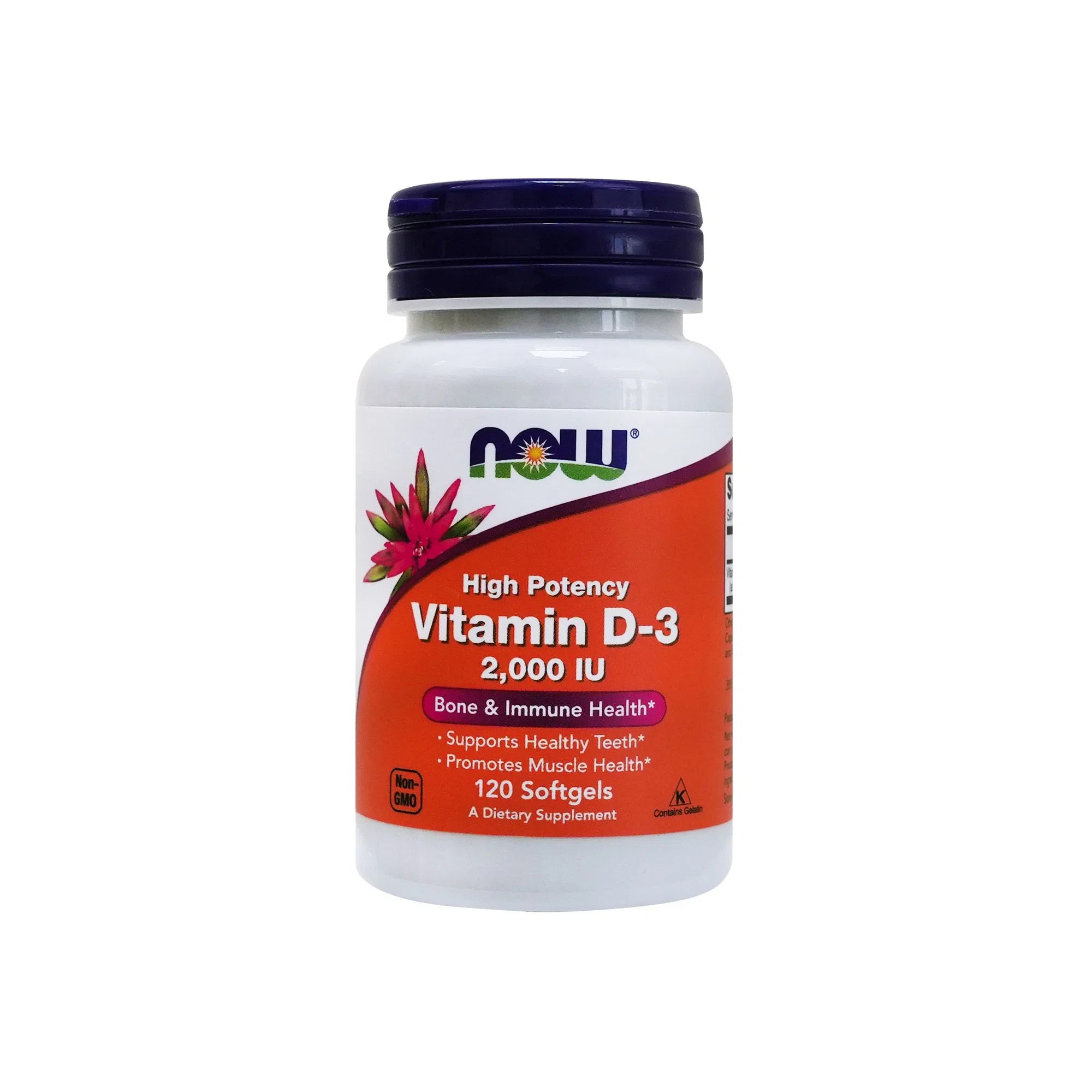 Vitamin D-3 1,000 IU - 180 Softgels for Bone & Immunity