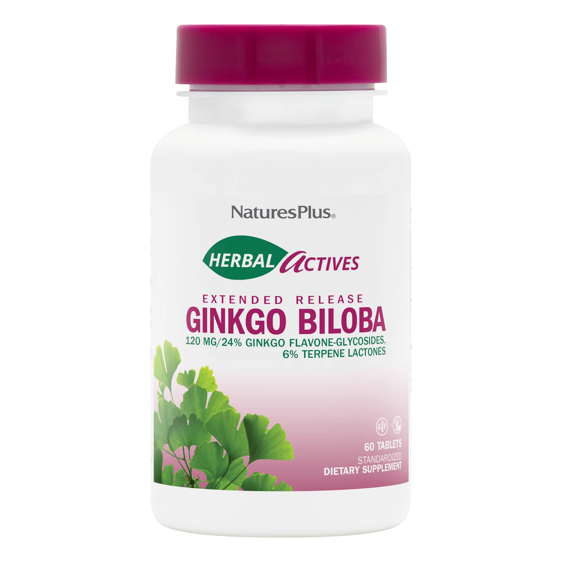 Ginkgo Biloba 120mg Extended Release
