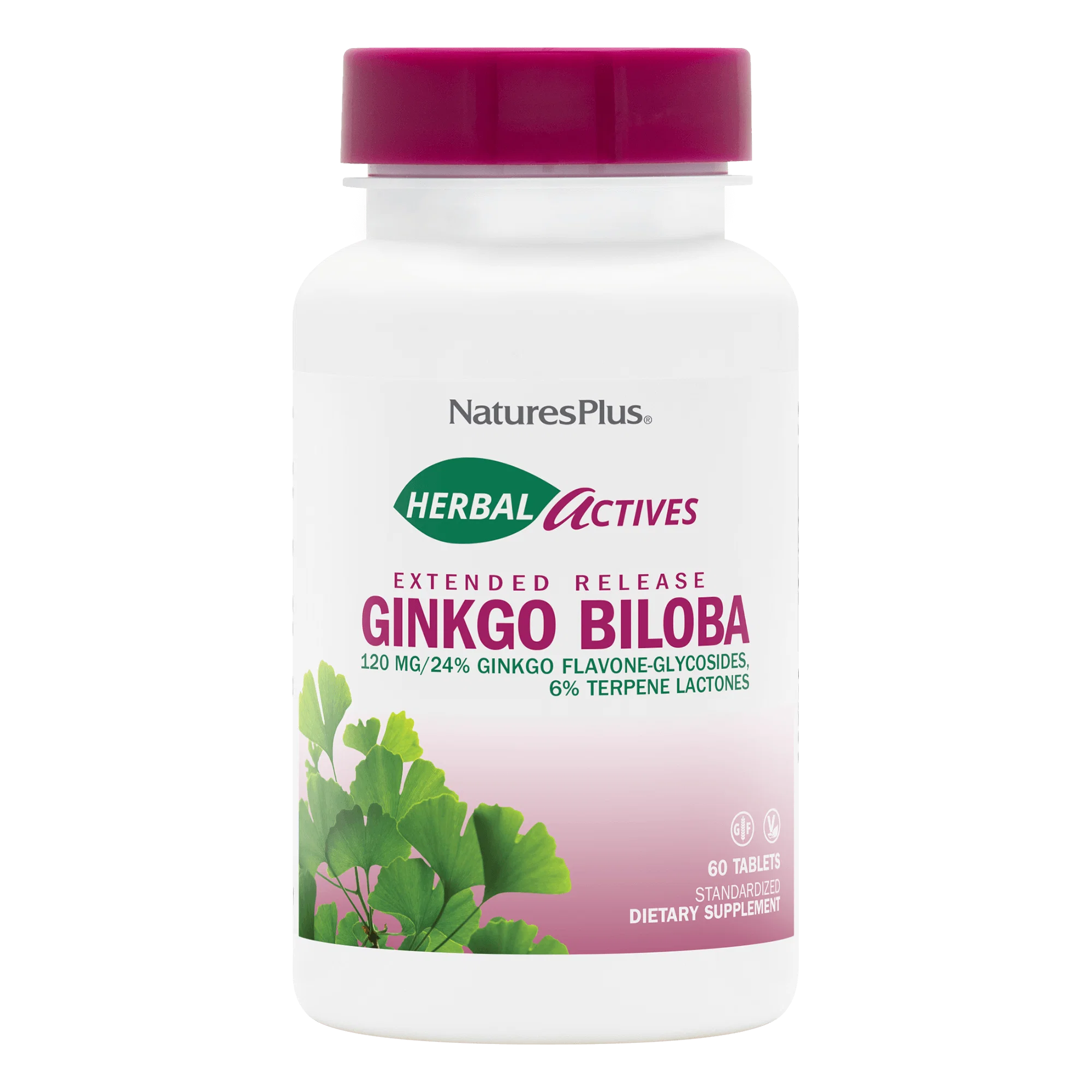 Ginkgo Biloba 120mg Extended Release